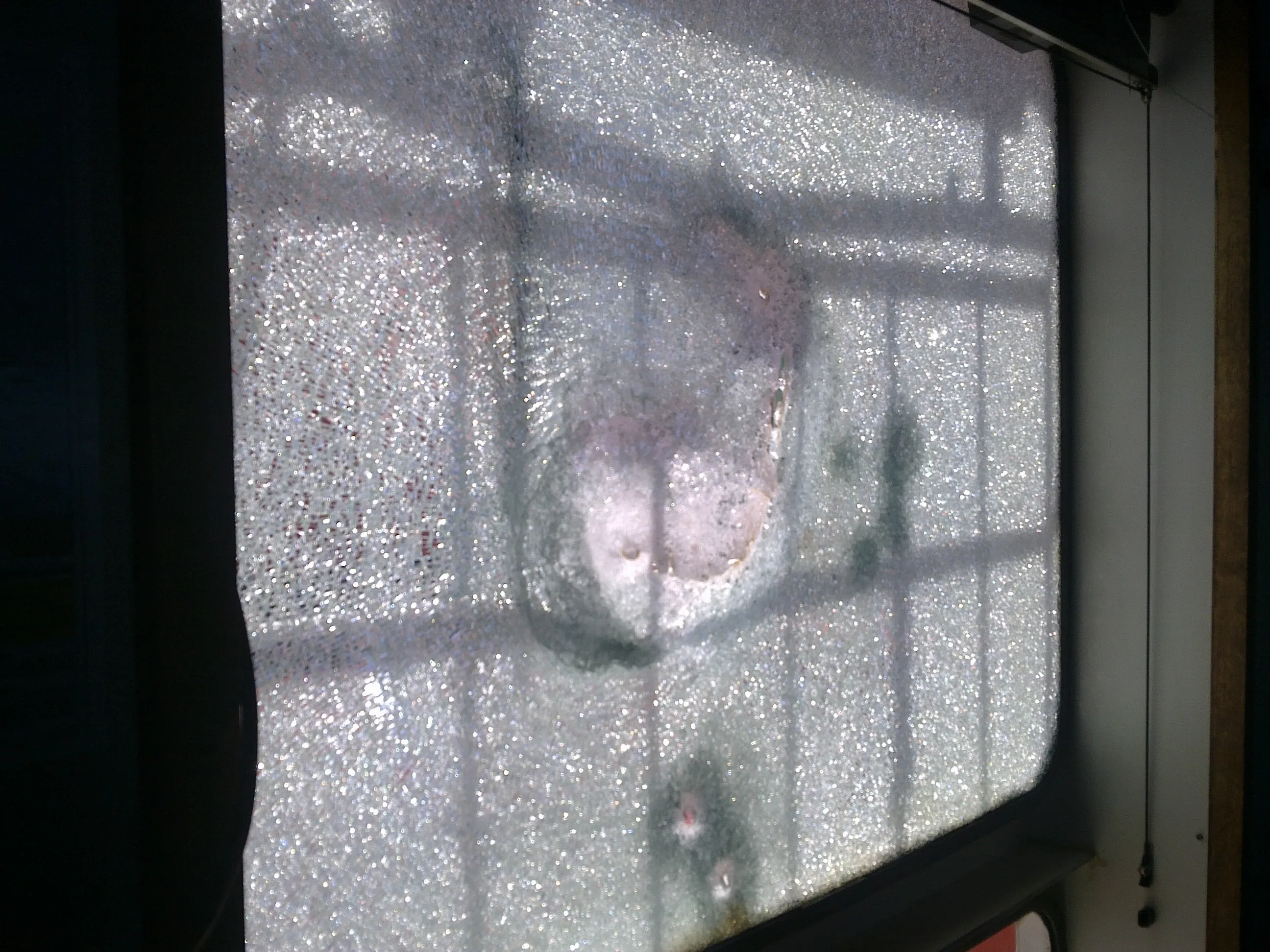 Close-up of shattered bridge window — bullet impact point visible, glass held together by anti-blast film